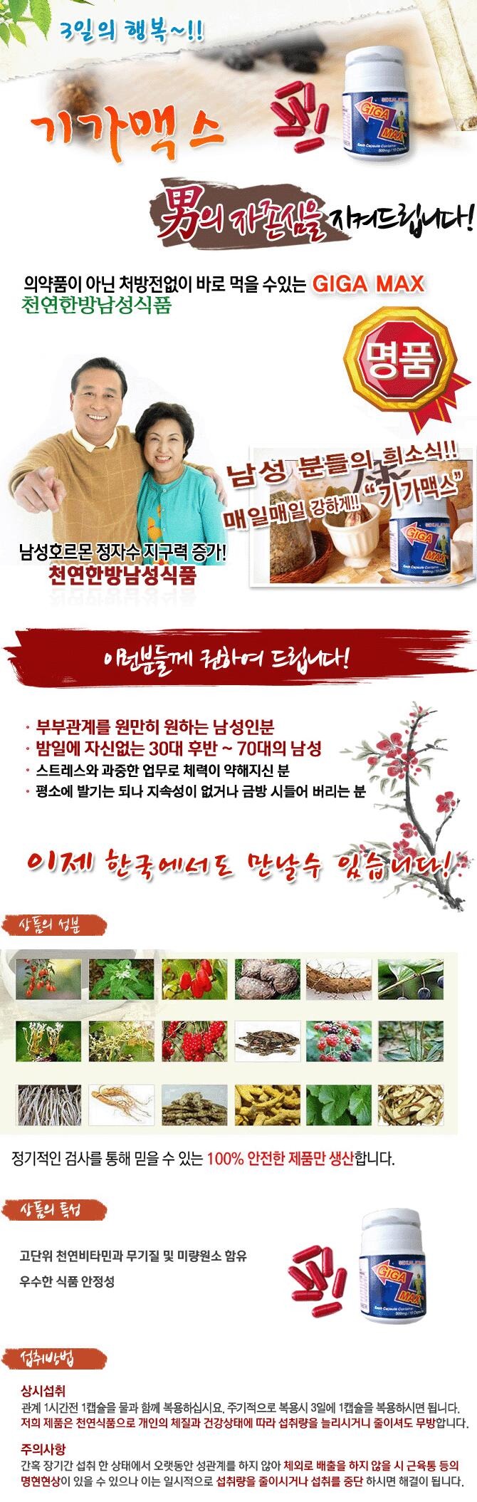 기가맥스.jpg